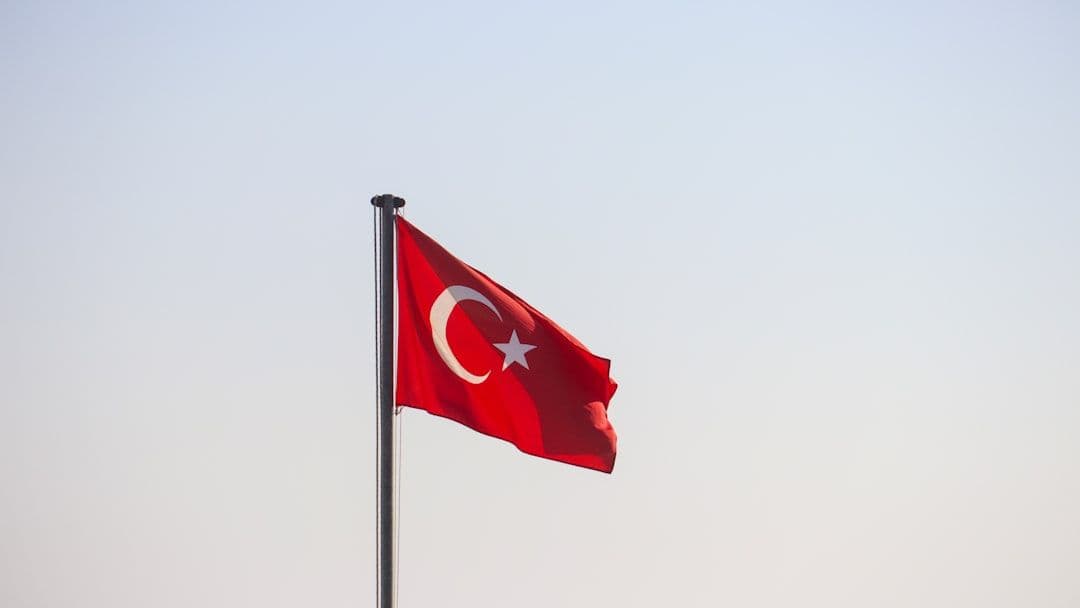 Manisa'da Büyük Orman Yangını: Müdahale Sürüyor